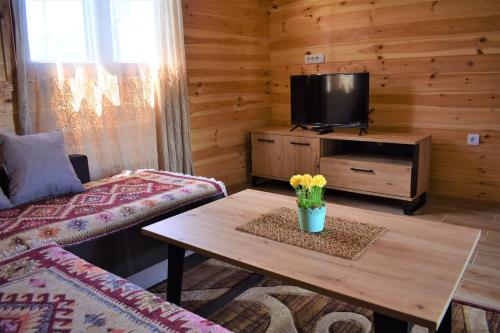 扎布利亚克Durmitor view的客厅配有电视和鲜花桌