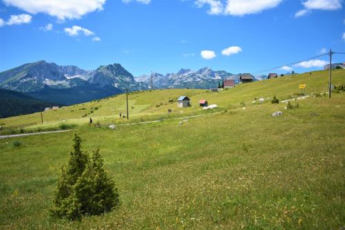 扎布利亚克Durmitor view的山丘,山丘,背景苍翠