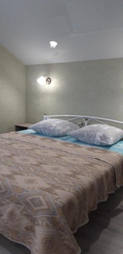 克洛佩夫尼茨基квартира-студия в г. Кропивницком (Кировограде)的卧室内的一张带两个枕头的床