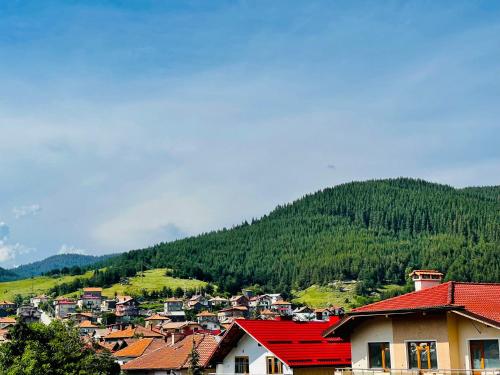 瑟尔尼察Къща за гости Пехлеванови的一座有房子的村庄和一座山的背景