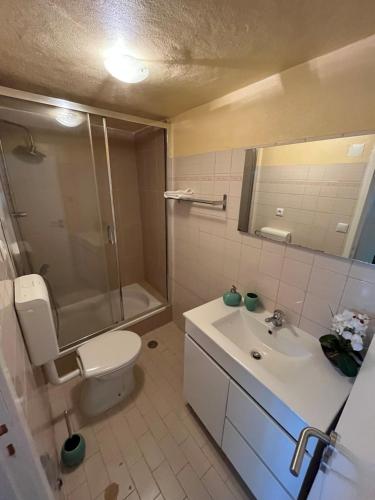 福什科阿新镇CASAS DO CÔA - Casa do Castelo的浴室配有卫生间、盥洗盆和淋浴。