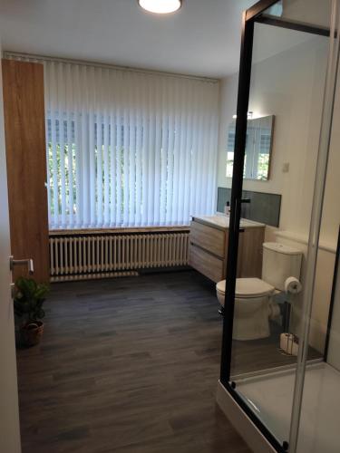 Scherpenheuvel-ZichemVilla Chill的一间带卫生间、水槽和镜子的浴室