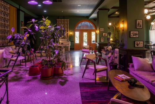 克瓦雷利克瓦雷利庄园酒店的一间客厅,里面种满了植物和紫色的地毯