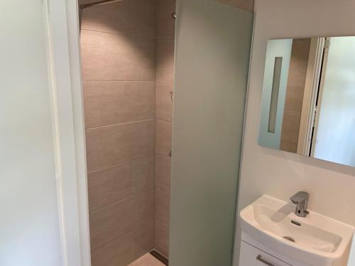 布鲁门里斯特布鲁门斯李斯特克罗旅馆的浴室配有白色水槽和淋浴。
