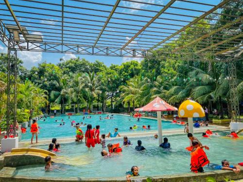 Bavet上海度假酒店的一群人在度假村的游泳池里