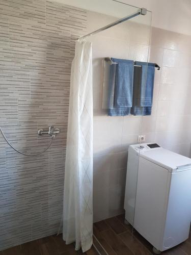 圣克兹索佐La Casa delle Magnolie的带淋浴、蓝色毛巾和洗衣机的浴室