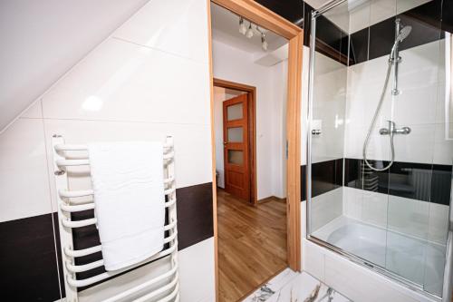 皮什Apartament Pastorówka的带淋浴和步入式淋浴间的浴室