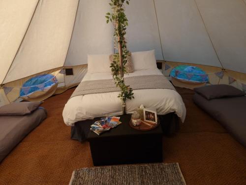 彭布罗克Pop up Pembrokeshire的帐篷内一间卧室,配有一张床