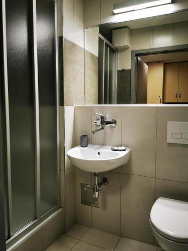 克拉科夫多姆学生胡同旅馆的一间带水槽和卫生间的浴室