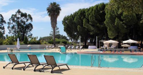 布朗库堡Hotel Campo do Rosmaninho的一个带椅子和遮阳伞及树木的游泳池