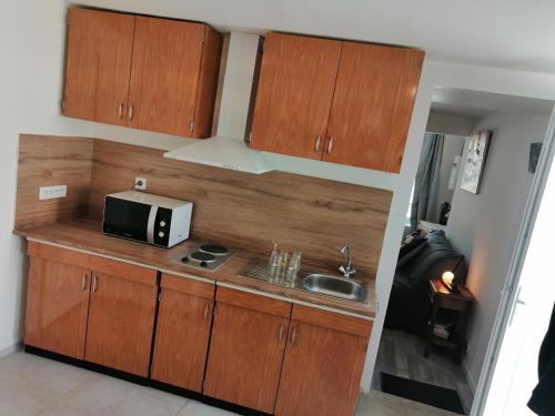 考特尼F Logement entier的厨房配有木制橱柜、微波炉和水槽。