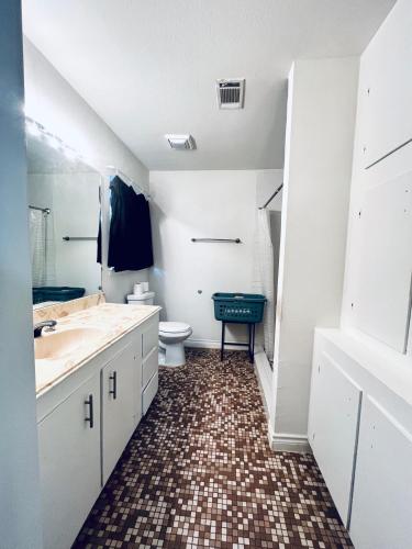 休斯顿Cozy Private Bed & Bath near Medical Center, Galleria and DT的一间带水槽和卫生间的浴室