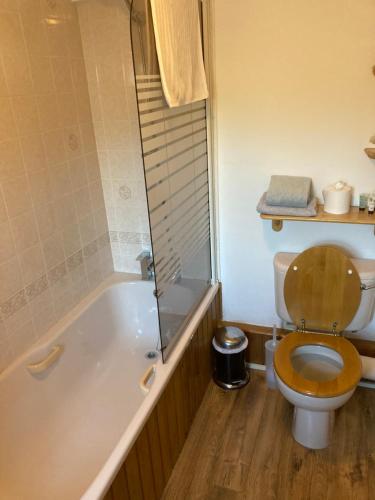 特鲁罗Bissick Old Mill Suite的浴室设有卫生间、浴缸和带马桶座的浴缸。