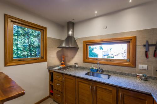 拉安戈斯图拉镇Balcones del Sayhueque的厨房设有水槽和窗户。