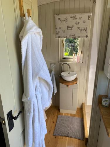 阿克斯明斯特The Orchard Shepherds Hut的一间带水槽和白色毛巾的浴室