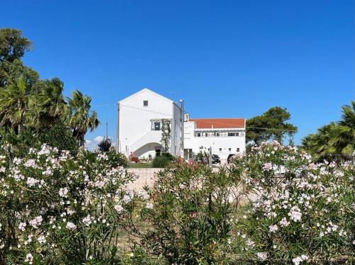 莱西纳Agriturismo Masseria Cannella的前面有鲜花的白色建筑