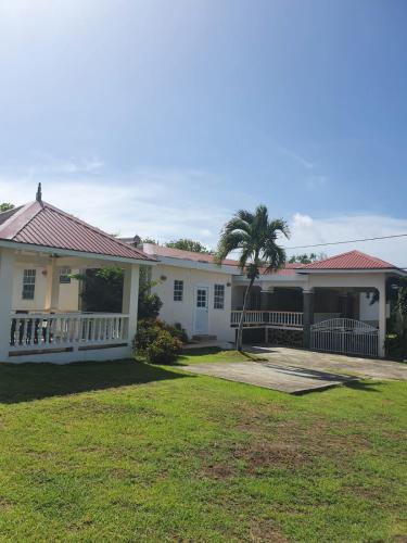 Cap EstateBurns' Apartment的院子里有棕榈树的白色房子