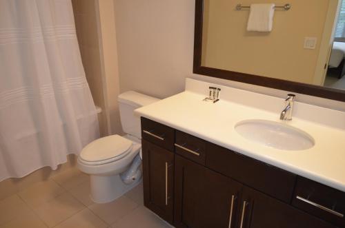 休斯顿汉诺威橡树公寓的一间带卫生间、水槽和镜子的浴室