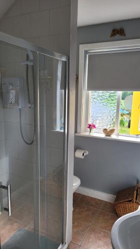 DromineerSalmon island view的带淋浴和卫生间的浴室以及窗户。