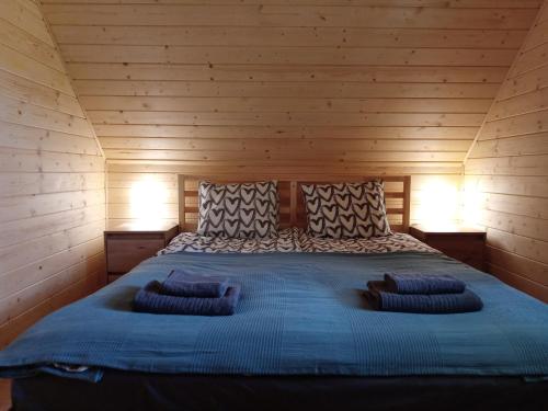 维什库夫Otulina Gulczewo的木制客房内的一张床位,上面有两个枕头