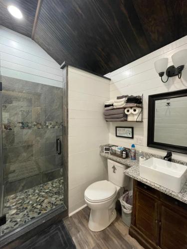 AvingerCozy Cabin in Crestwood Subdivision的带淋浴、卫生间和盥洗盆的浴室