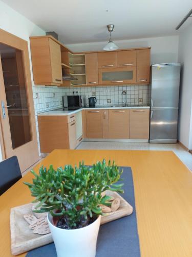 莫斯特拉纳Apartma Stenar的厨房里摆放着盆栽植物的桌子