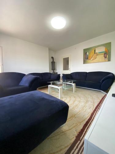DrvarApartman “IVA”的客厅配有蓝色的沙发和地毯。