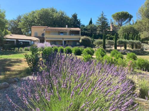 圣萨蒂南艾普特Les Cerises的一座花园,在房子前面种有紫色的花朵