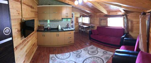 艾德亚耶拉西Yunuslar Apart Pansiyon的小木屋内的客厅配有紫色沙发