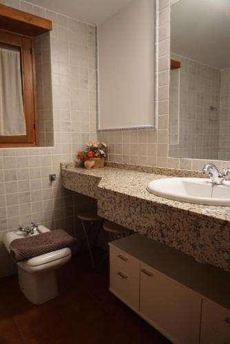 埃斯特里-德阿内乌Esterri apartamento ideal famílias o grupos con Wifi的一间带水槽、卫生间和镜子的浴室