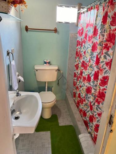 CanaanShirvan Holiday Apartments One Bedroom的浴室配有水槽、卫生间和浴帘