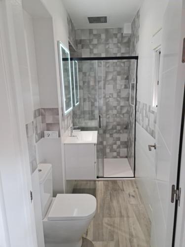 韦尔瓦Apartamento Luxury Suite Huelva Zona Centro的浴室配有卫生间、盥洗盆和淋浴。