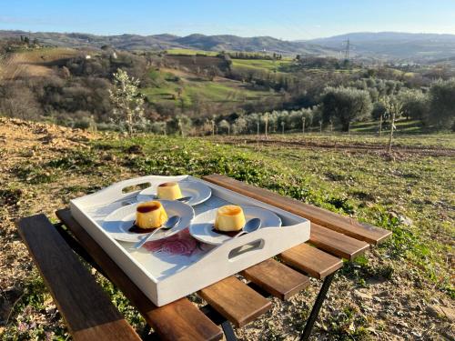 萨杜勒尼亚Casale Terre Rosse的田野上带一盘食物的桌子