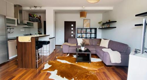 鲁容贝罗克Apartment Mira的一间带紫色沙发的客厅和一间厨房