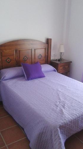 阿瓜阿马加Apartamento Antonia 2的一间卧室配有一张带紫色棉被的床