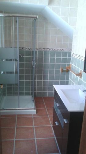 阿瓜阿马加Apartamento Antonia 2的带淋浴和盥洗盆的浴室