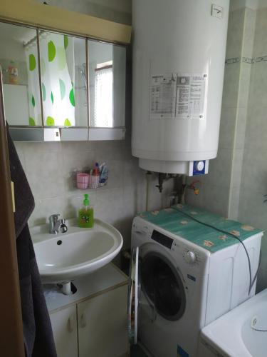 捷克克鲁姆洛夫Ubytování U Jarky的一间带洗衣机和水槽的浴室