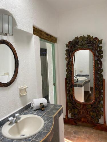 圣米格尔-德阿连德Casa Árbol Hotel的一间带水槽和镜子的浴室