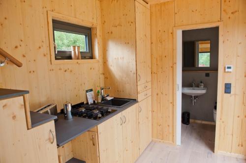 奥斯特罗德Tiny House Nature 3 - Green Tiny Village Harz的客房内设有带炉灶和水槽的厨房