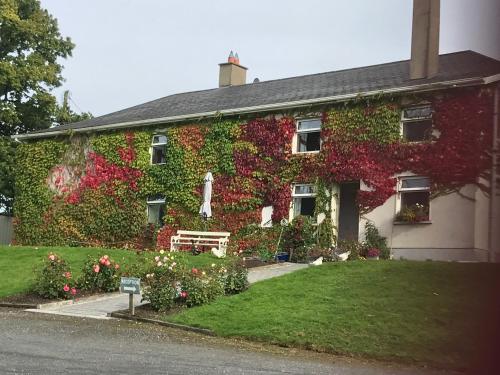 Dún LuáinBlackrath Farmhouse的常春藤覆盖着长凳和鲜花的房子