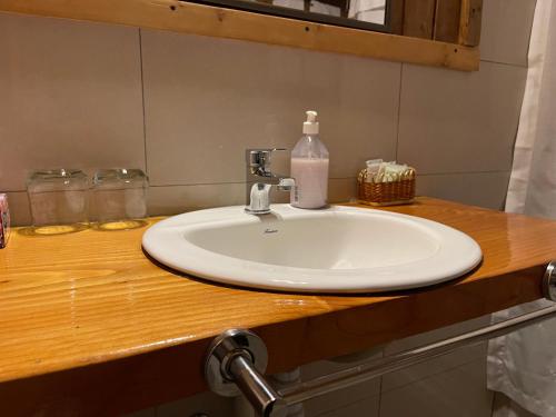 Puerto RamírezLA CABAÑA FISHING LODGE的浴室水槽和柜台上的肥皂瓶