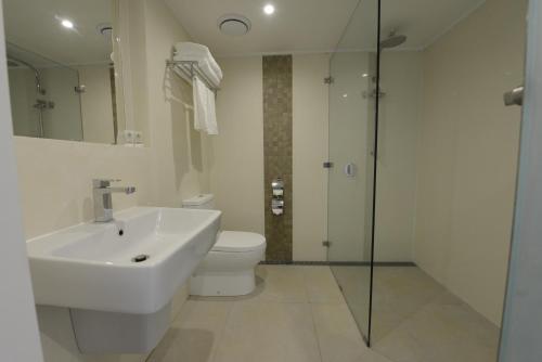如奈Cassowary Hotel的一间带水槽、卫生间和淋浴的浴室