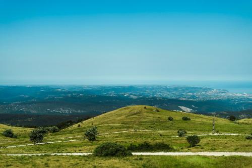 PodgorjeTumova koča na Slavniku的一座绿树成荫的山丘