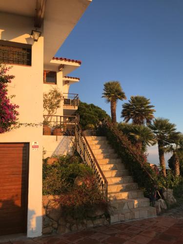 罗列特海岸Villa Panorama 360的通往棕榈树房屋的楼梯