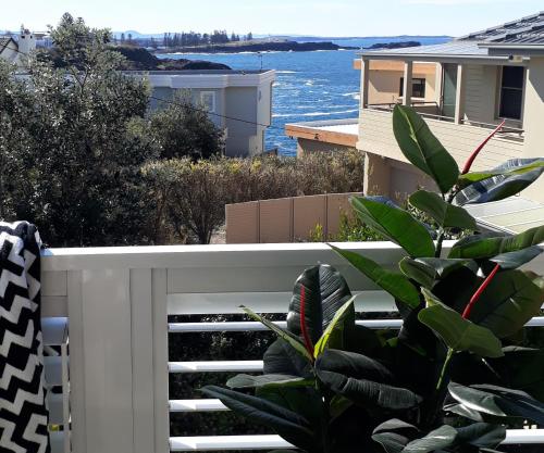 凯阿玛Shutters-Waterfront-Private-at Little Blowhole的阳台设有白色的围栏和植物