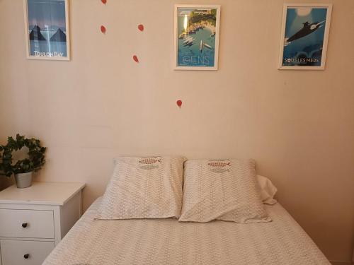 土伦Le Côte d'Azur的一间卧室配有一张带两个枕头的床