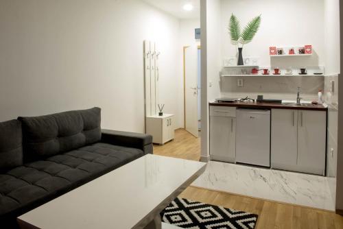 维舍格勒Apartmani Pijemont的带沙发的客厅和厨房