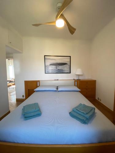 卡莫利Appartamento Victoria的一间卧室配有一张大床和蓝色枕头