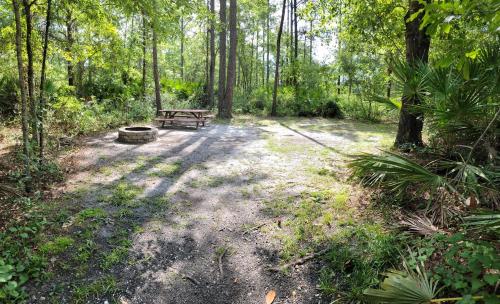 Stanley LandingOkefenokee Pastimes Cabins and Campground的森林中间的野餐桌