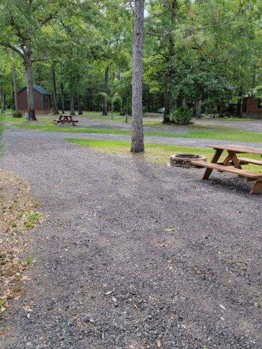 Stanley LandingOkefenokee Pastimes Cabins and Campground的公园里的野餐桌和一棵树